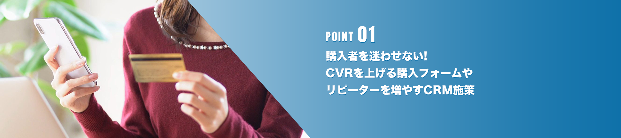 point01 購入者を迷わせないCVRアップの購入フォームやリピーターを増やすCRM拡大